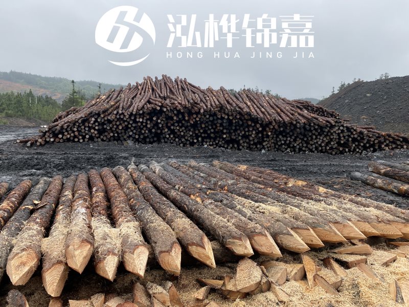 6米長松木樁有哪些作用，多少錢一根？