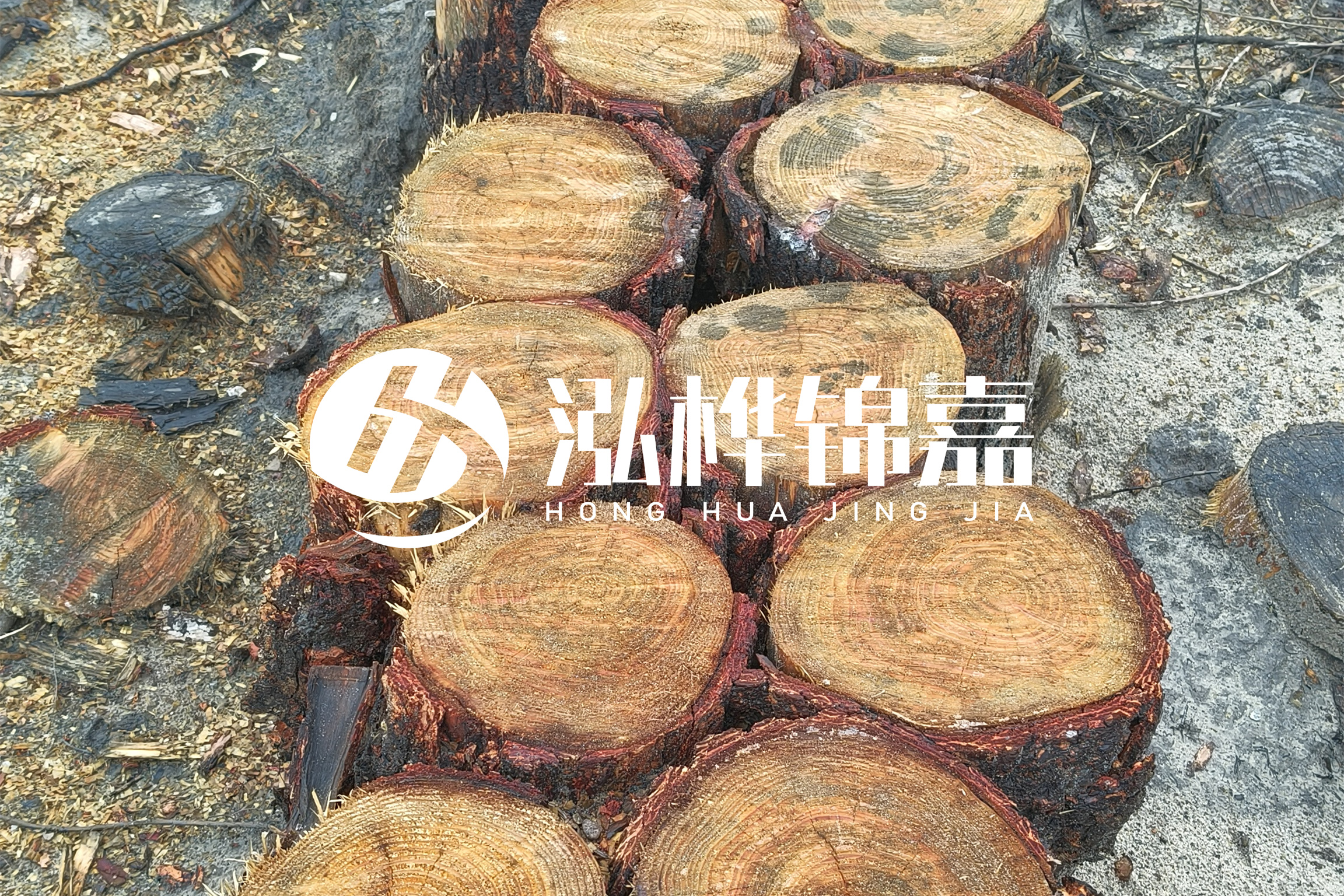 浙江臺(tái)州有清淤的公司嗎？浙江臺(tái)州有清淤施工隊(duì)嗎？