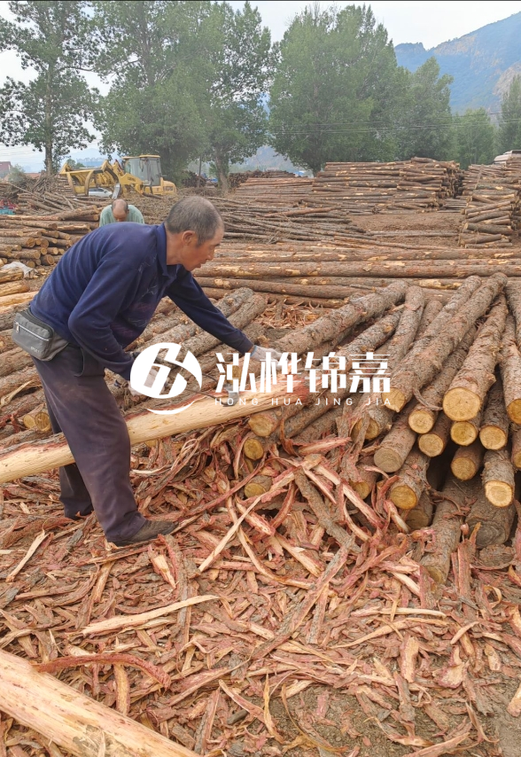 東營河道清淤專業(yè)施工隊-不同型號挖機清淤能力對比？
