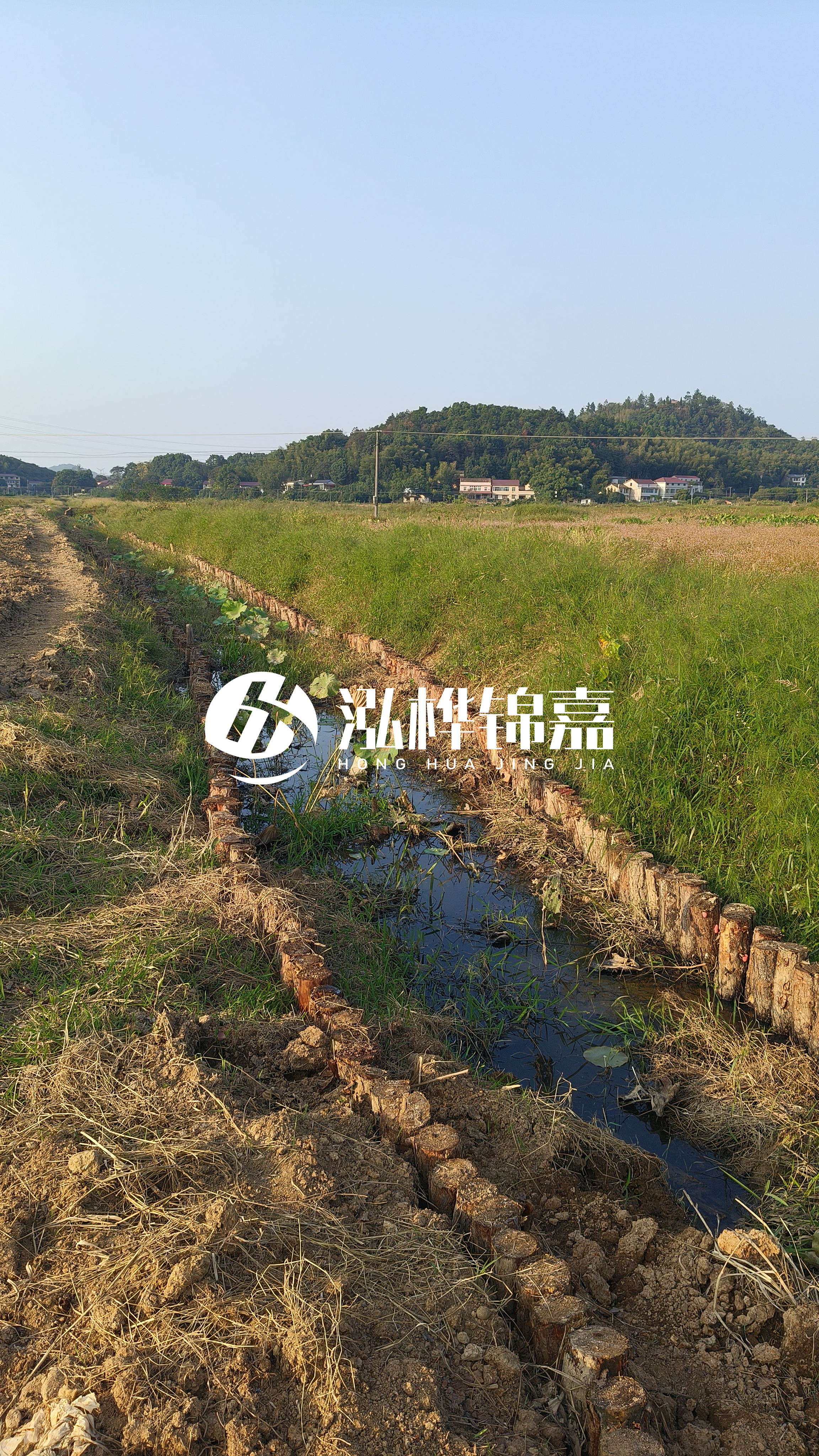 河道護坡打木樁的目的全解析：你知道幾個？