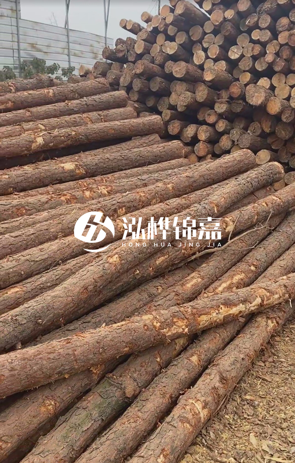 山西河道木樁護(hù)岸價(jià)格多少錢一米-每米河道打樁要花多少錢？