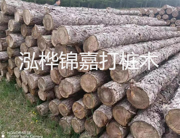 高效修補，保駕護航！水泥路面高強度修補料為您解決煩惱！