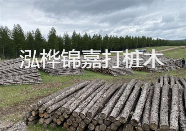 鋼結(jié)構(gòu)施工方案大全免費提供，助力工程建設(shè)