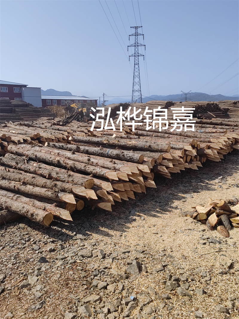 打造環(huán)保耐用的樹脂瓦四坡屋頂，追求高品質(zhì)居住體驗
